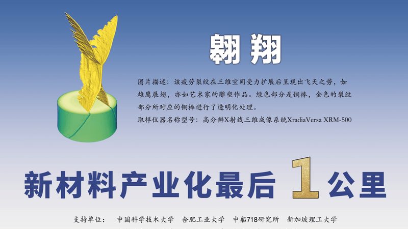 盐酸价格走势图解析：洞察市场波动与厂家选择