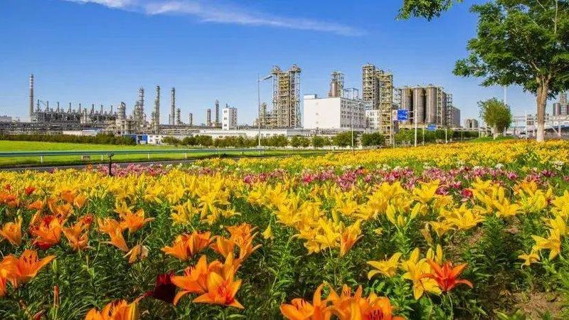 江苏无机化工原料价格波动解析**