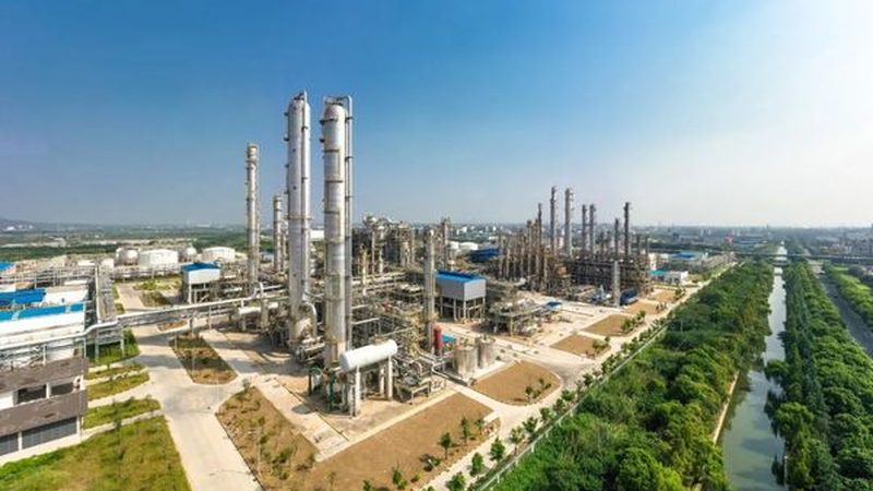 上海新材料研究院与中科院：探析两所科研机构的异同